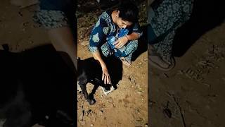 Iske puppy hone vala tha kalaj dekhe subah ho gye viralvideo [upl. by Airaet254]