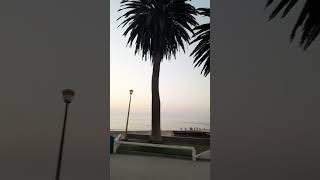 Swakopmund Museum Namibian YouTuber Swakopmund tour travel namibia namibianyoutuber trending [upl. by Otis]