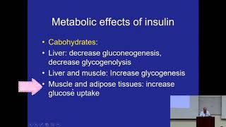 Insulin Effects on Carbohydrate amp Lipid Metabolism Metabolism Made Easy [upl. by Kit218]