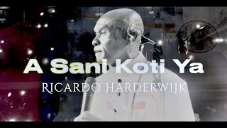 Ricardo Harderwijk  A Sani Koti Ya Official Video Clip [upl. by Solange]