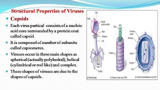 Viral Capsids [upl. by Anilet667]