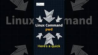 Master the pwd command in Linux  🖥️ linuxadministrator programming linuxguides [upl. by Shippee]