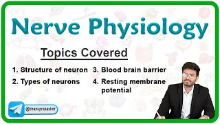 Nerve Physiology  Structure and Types of Neurons Blood brain barrier Resting membrane potential [upl. by Sumerlin]