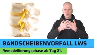 Bandscheibenvorfall LWS  Heilungsphasen Teil 3 von 3 [upl. by Karena]