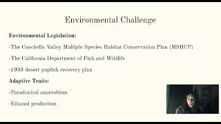 Desert Pupfish Homeostasis Challenge [upl. by Otrebireh]