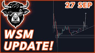 WSM PRESALE LAUNCH UPDATE🔥 Wall Street Memes WSM Presale Update [upl. by Icyac]