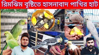 Talking parrot price  হাসনাবাদ পাখির হাট  Bird market in Bangladesh  Hasnabad pakhir hat [upl. by Ilatfen]