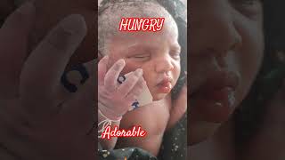 Newborn baby very hungry after birth immediately [upl. by Eseilana580]