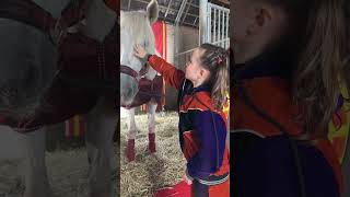 Ozosnel het favoriete paard van Sinterklaas ozosnel paard sinterklaas pietenkidz shorts [upl. by Maurita]