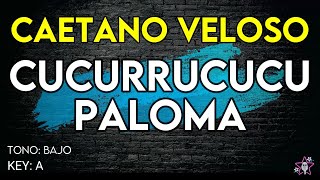 Caetano Veloso  Cucurrucucu Paloma  Karaoke Instrumental  Tono Bajo [upl. by Srednas]