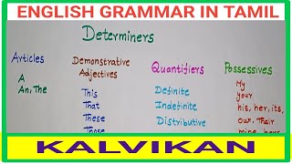 Determiners English Grammar In Tamil  4 Types of Determiners  Kalvikan [upl. by Ytsirk]