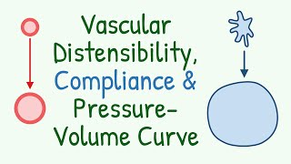 Vascular Compliance Distensibility amp Its Imporatance in Arterial Pulsation amp Venous Reservoir [upl. by Janine]