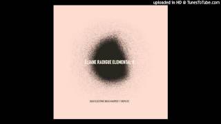 Eliane Radigue  Elemental II Part 22 [upl. by Powder452]