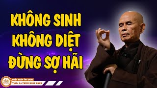 Không Sinh Không Diệt Đừng Sợ Hãi Rất Hay  Thiền Sư THÍCH NHẤT HẠNH PPUD [upl. by Ellinad451]