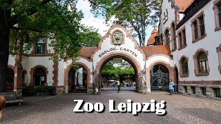 Zoo Leipzig  ein kleiner Rundgang [upl. by Graehl]