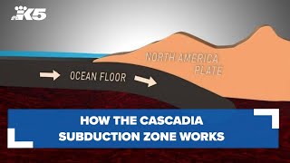 How the Cascadia Subduction Zone works [upl. by Anoik318]