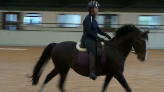 Kenwick Riding Lesson 26 09 24 [upl. by Russ952]