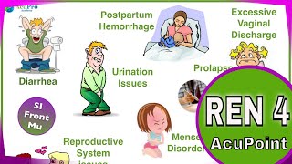 REN 4  CV 4 Acupuncture Point functions amp location [upl. by Anitsim]