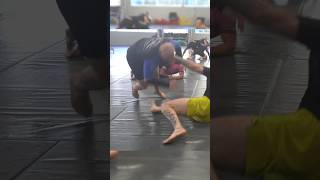 The most demoralising sweep bjj jiujitsu [upl. by Annaihr]