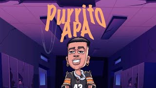 Rama99  PURRITO APA Video Lyrics [upl. by Parnas434]