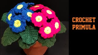 How to Crochet Primula flower [upl. by Gillian]