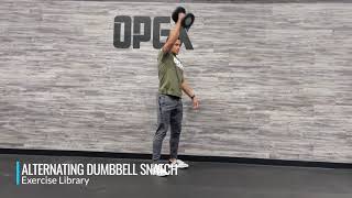 Alternating Dumbbell Snatch [upl. by Berton]