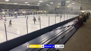 Minnetonka Bantam B1 Vs Wayzata Gold [upl. by Boardman914]