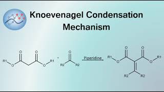 Knoevenagel Condensation Mechanism  Organic Chemistry [upl. by Tooley895]