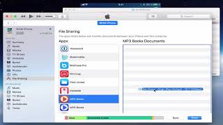 MP3 Audiobook Player  How to add a book via iTunes [upl. by Rats590]