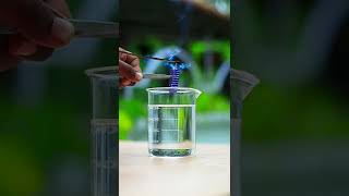 FlowerPot Vs Water Experiment  M4 Tech  shorts [upl. by Ahsata]