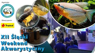 Dawno tego nie bylo OO wystawa akwarystyczna aquarium wysatwa aquascape [upl. by Ahcsatan]