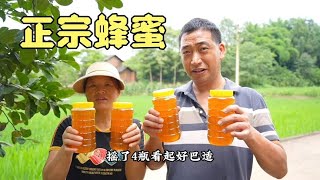 老谭兄弟伙家摇蜂糖，正宗的纯蜂蜜看着就诱人，20斤全部买回家！ [upl. by Saisoj753]