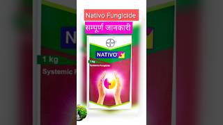 Nativo fungicide shorts  Nativo bayer fungicide use [upl. by Enneyehs]