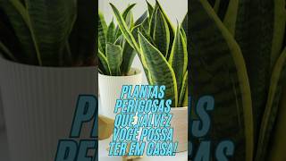 Plantas Perigosas Que Você Pode Ter em Casa [upl. by Karab211]