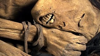 Mummies scanning ancient human remains [upl. by Aihsatsan]