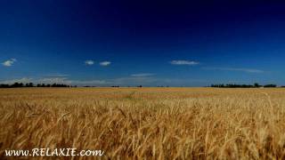 60minutes2relax  Golden Wheat Field [upl. by Ias204]