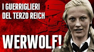 Gli ULTIMI Guerriglieri Del TERZO REICH WERWOLF [upl. by Josie]