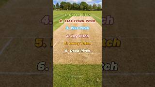 Types of Cricket pitches explained [upl. by Barnabe]