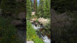 Amazing Colorado Mountain Stream [upl. by Ariane]