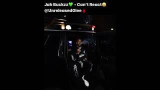 Jah Buckzz  Can’t React Unreleased Read Description [upl. by Onitrof624]