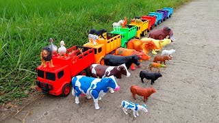 Mini tractor transporting  Radha Krishna Trolly Gauri Ganesh Murti durga Navratriwater 113news [upl. by Anitsihc]