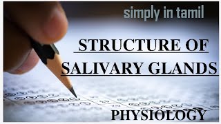 Structure of salivary glands and duct system Explanation in Tamil Sukumiii [upl. by Eegnat]