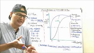 MyoglobinO2 Dissociation Curve and Concept of P50 [upl. by Arev113]