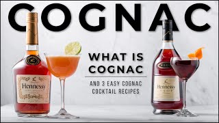 What is Cognac with Hennessy amp 3 Delicious Cognac cocktails [upl. by Lalad774]