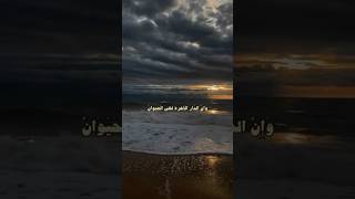 أجر لي ولكم ان شاء الله🤍🤍 explore fypシ゚viral قرانكريم بدونموسيقى قططصغيرة [upl. by Larrisa]