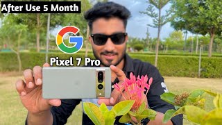 Google Pixel 7 Pro Camera Test  After Use 5 Month Pixel 7 Pro Camera [upl. by Griffiths]