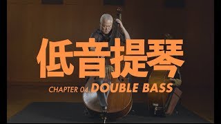 低音提琴介紹 Double Bass [upl. by Sumner]