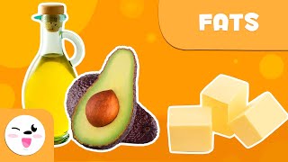 What are fats  Healthy Eating for Kids [upl. by Lean281]