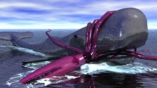 The Biggest Squid Of The Planet [upl. by Aoniak]