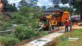 Vermeer BC2100XL wood chipper gum tree Sydney Australia [upl. by Aila]